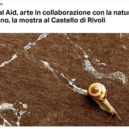 Апартаменти La Casa Di Silvio Ai Giardini Reali Турин Екстер'єр фото