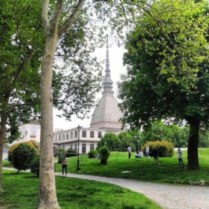 Апартаменти La Casa Di Silvio Ai Giardini Reali Турин Екстер'єр фото